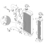Rotax Max/Max EVO Engine Parts - Radiator Assembly