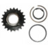 Torini Drive Sprocket Suits Performance Clutches (219 Pitch)