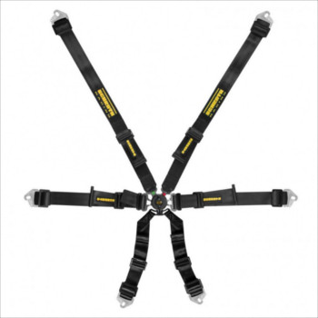 Harness Schroth Flexi 2 x 2 Hans Specific Black