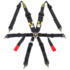 Harness RPM 6 Point 3