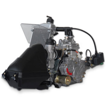 Rotax 125cc Engine Mini Max Evo Complete